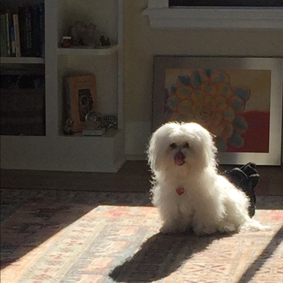 Meet your Posher, Janet - Picture 1 of 1